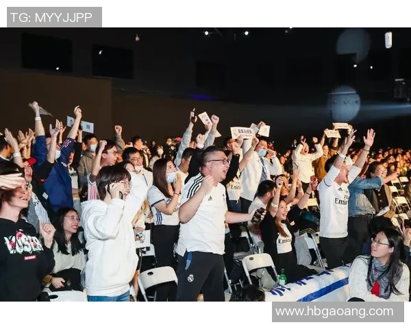 马来西亚与越南激战在即12月11日足球盛宴引发球迷热情期待